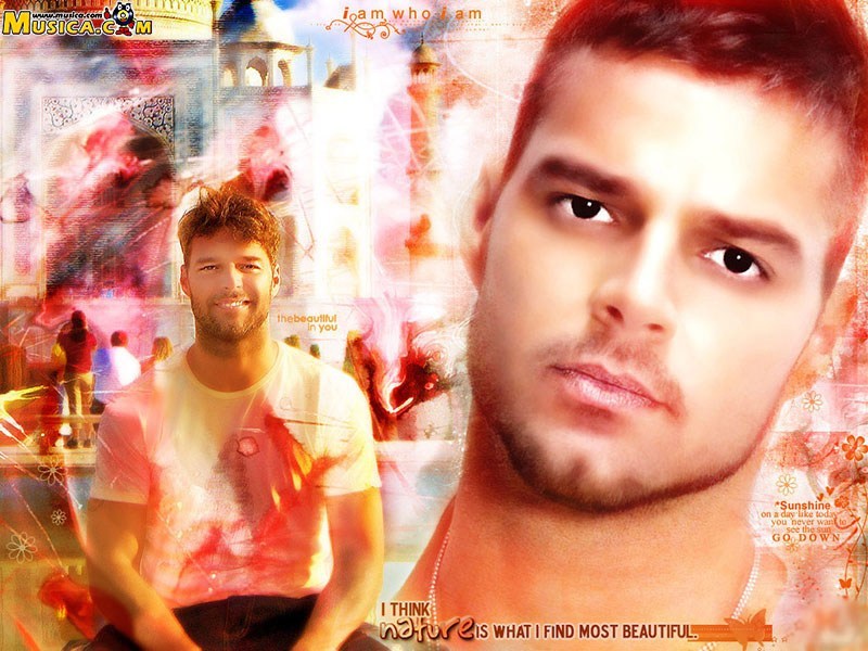 Fondo de pantalla de Ricky Martin