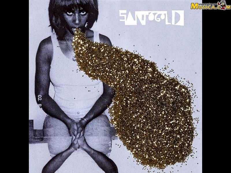 Fondo de pantalla de Santogold