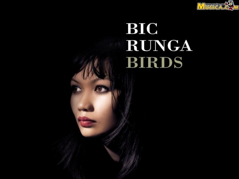 Fondo de pantalla de Bic Runga