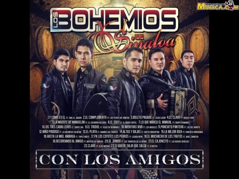 Fondo de pantalla de Bohemios de Sinaloa