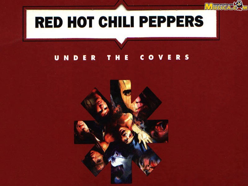 Fondo de pantalla de Red Hot Chili Peppers