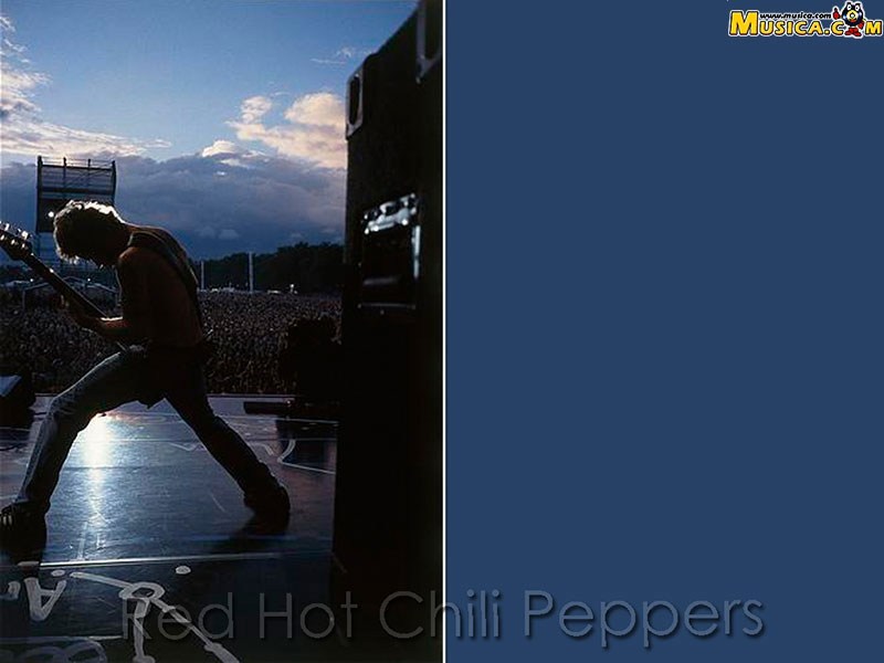 Fondo de pantalla de Red Hot Chili Peppers