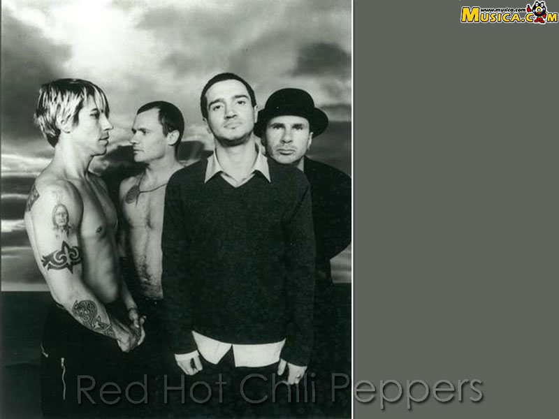 Fondo de pantalla de Red Hot Chili Peppers