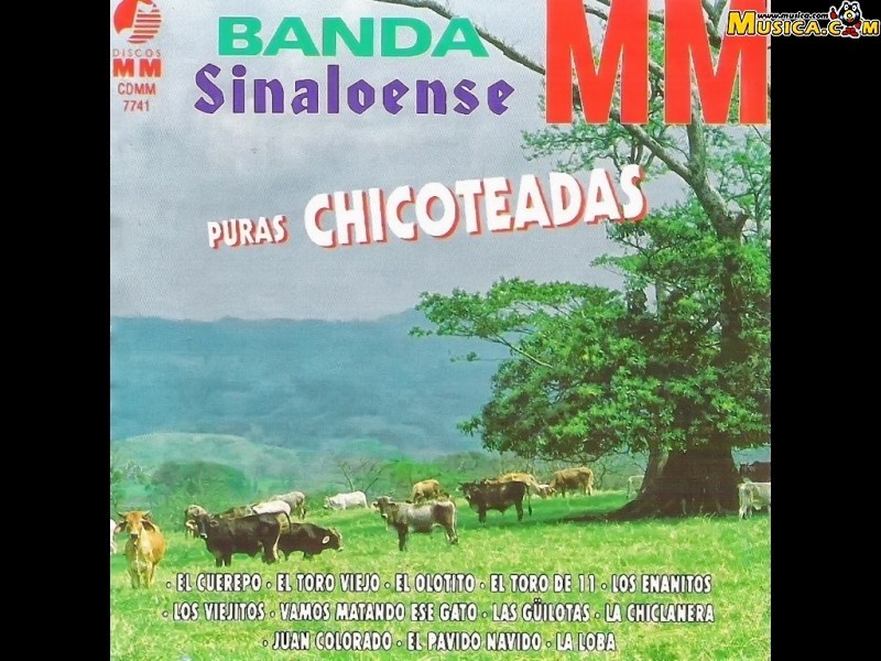 Fondo de pantalla de Banda Sinaloense MM