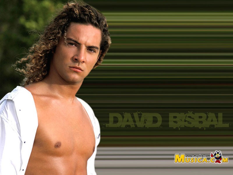 Fondo de pantalla de David Bisbal