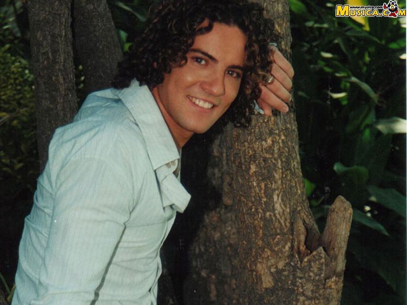 Fondo de pantalla de David Bisbal