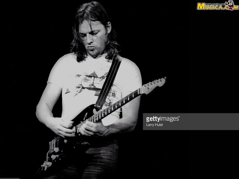 Fondo de pantalla de David Gilmour