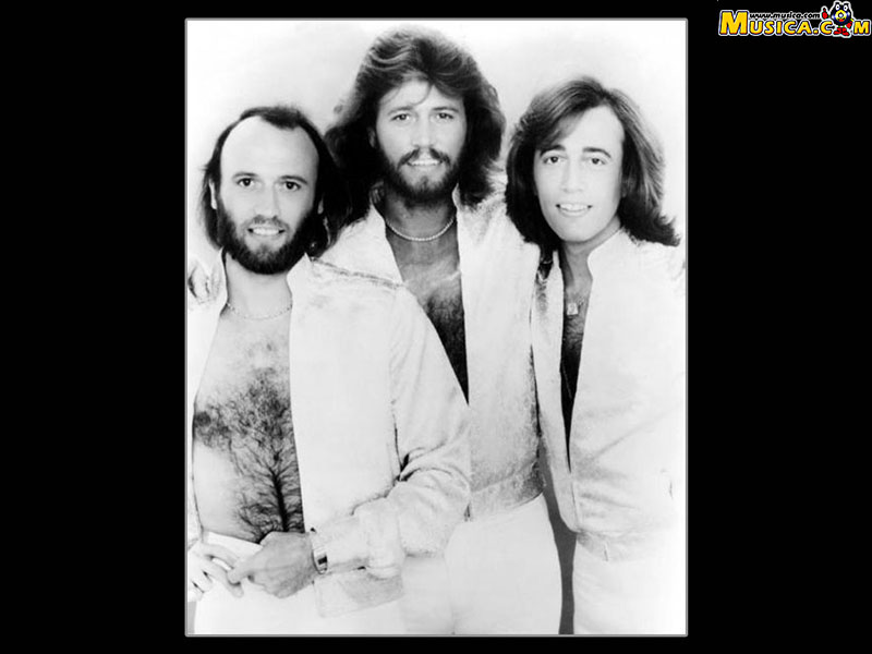 Fondo de pantalla de Bee Gees