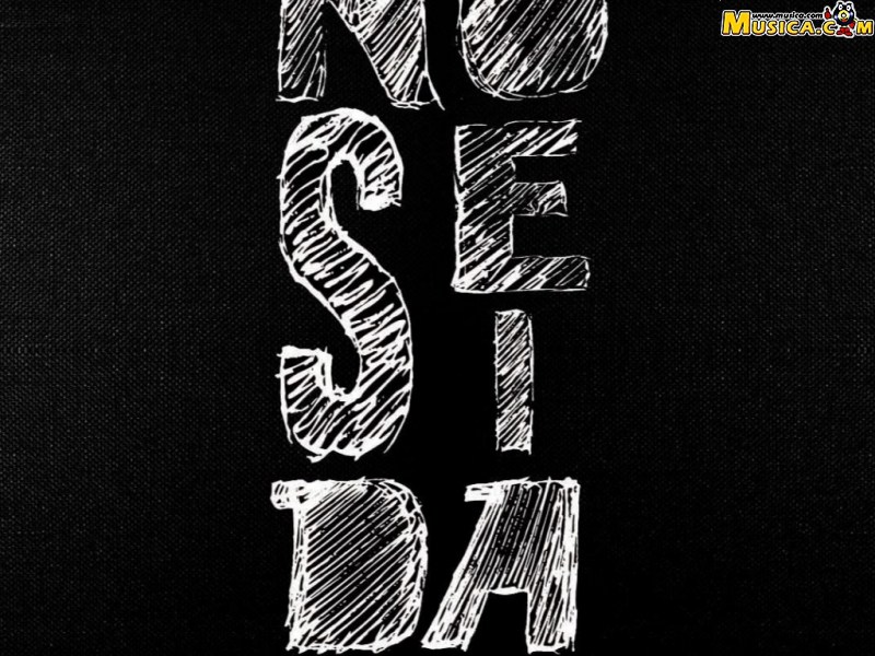 Fondo de pantalla de NoSéSiDa