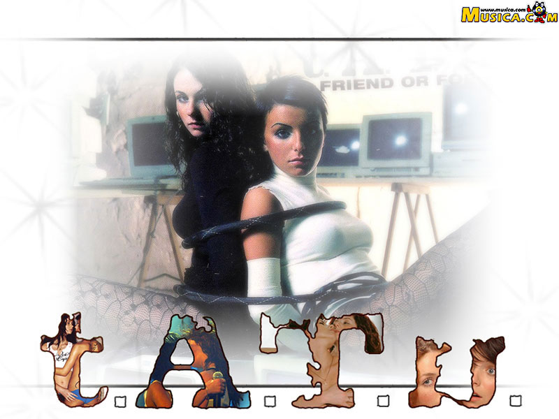 Fondo de pantalla de tATu