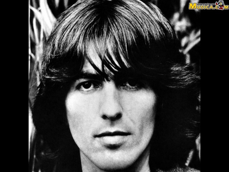 Fondo de pantalla de George Harrison