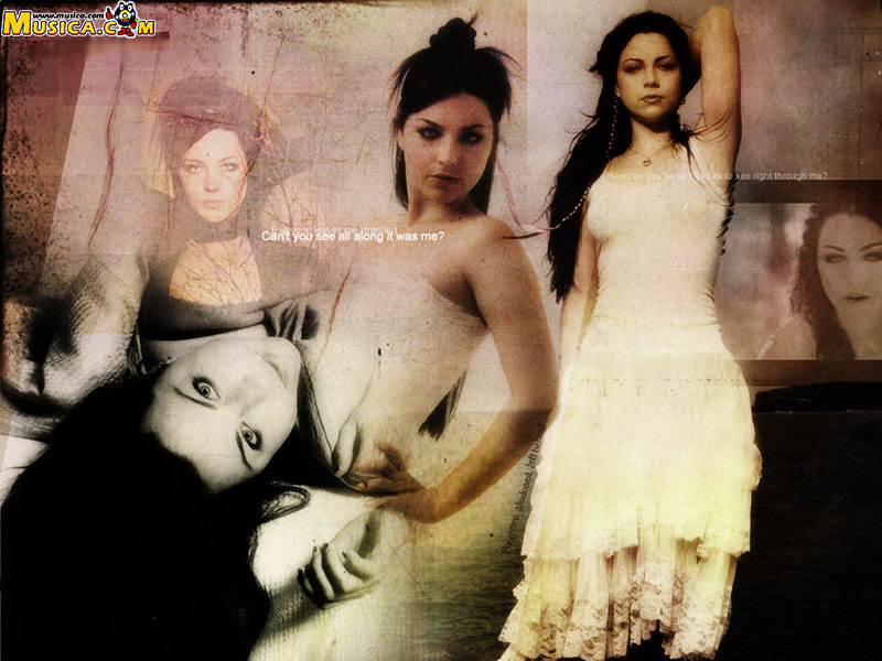 Fondo de pantalla de Evanescence