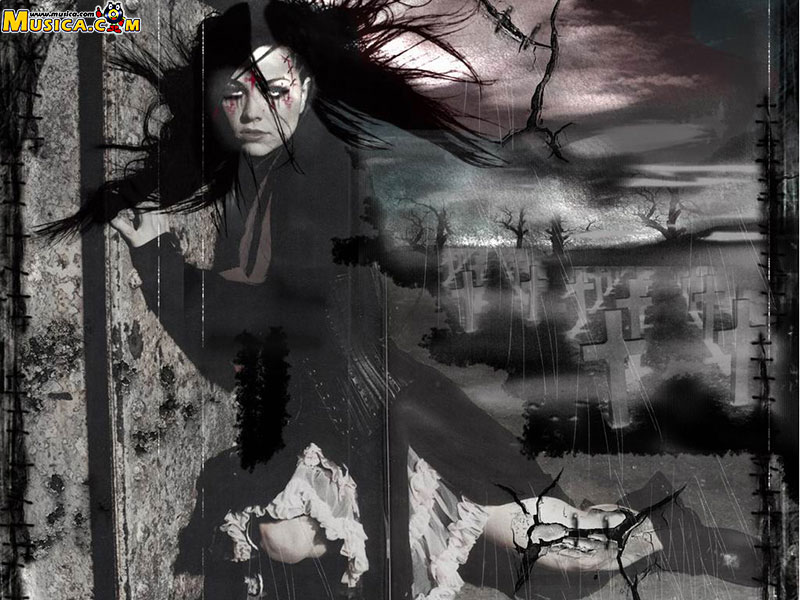 Fondo de pantalla de Evanescence