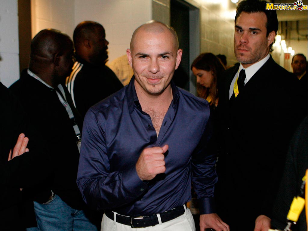 Fondo de pantalla de Pitbull