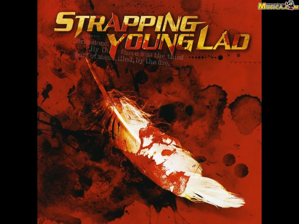 Fondo de pantalla de Strapping Young Lad