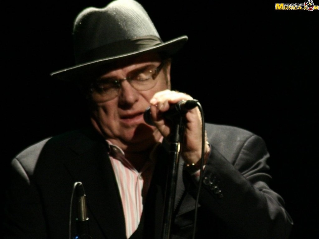 Fondo de pantalla de Van Morrison