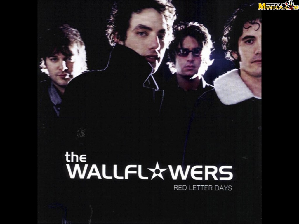 Fondo de pantalla de The Wallflowers