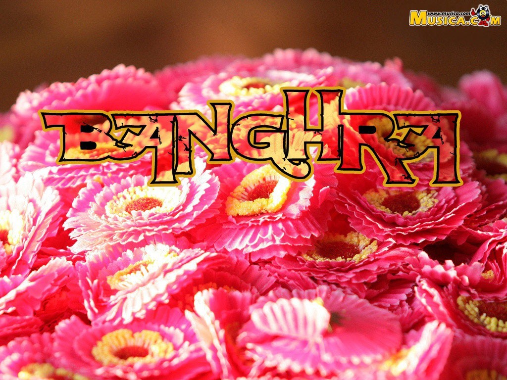 Fondo de pantalla de Banghra
