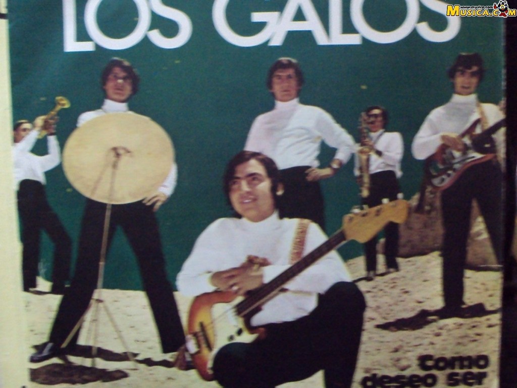 Fondo de pantalla de Los Galos