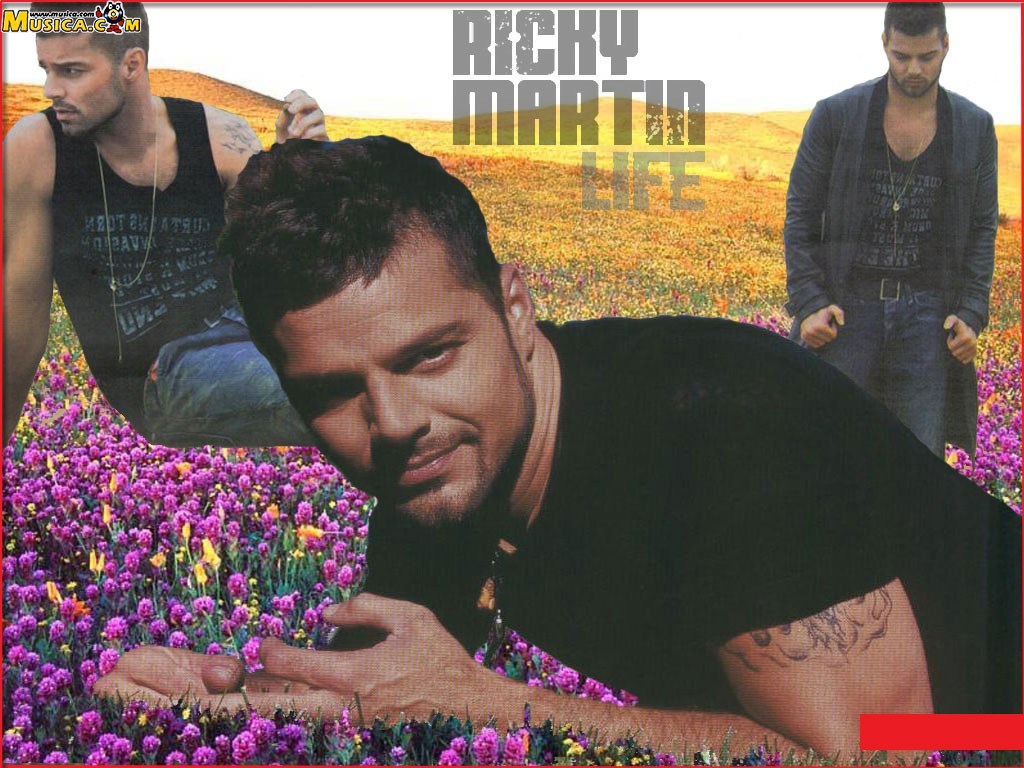 Fondo de pantalla de Ricky Martin