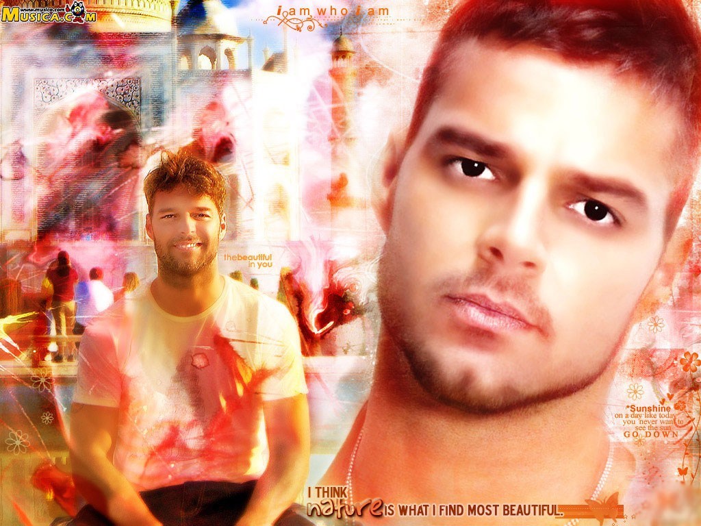 Fondo de pantalla de Ricky Martin