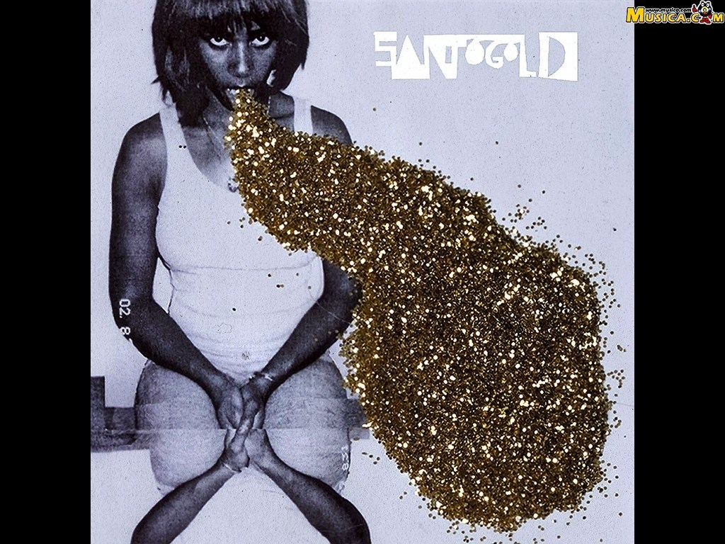 Fondo de pantalla de Santogold