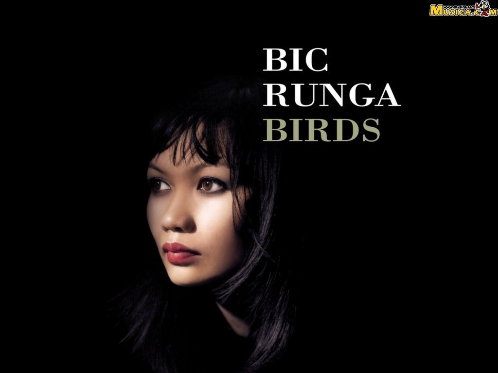 Fondo de pantalla de Bic Runga