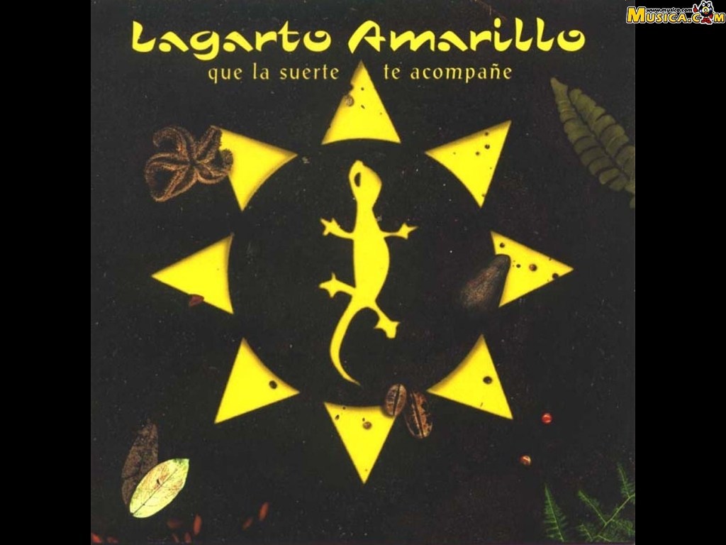 Fondo de pantalla de Lagarto Amarillo