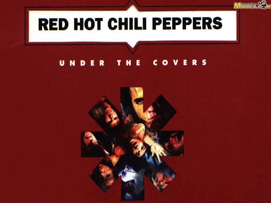 Fondo de pantalla de Red Hot Chili Peppers