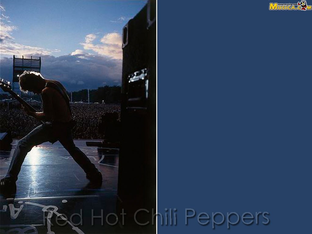 Fondo de pantalla de Red Hot Chili Peppers