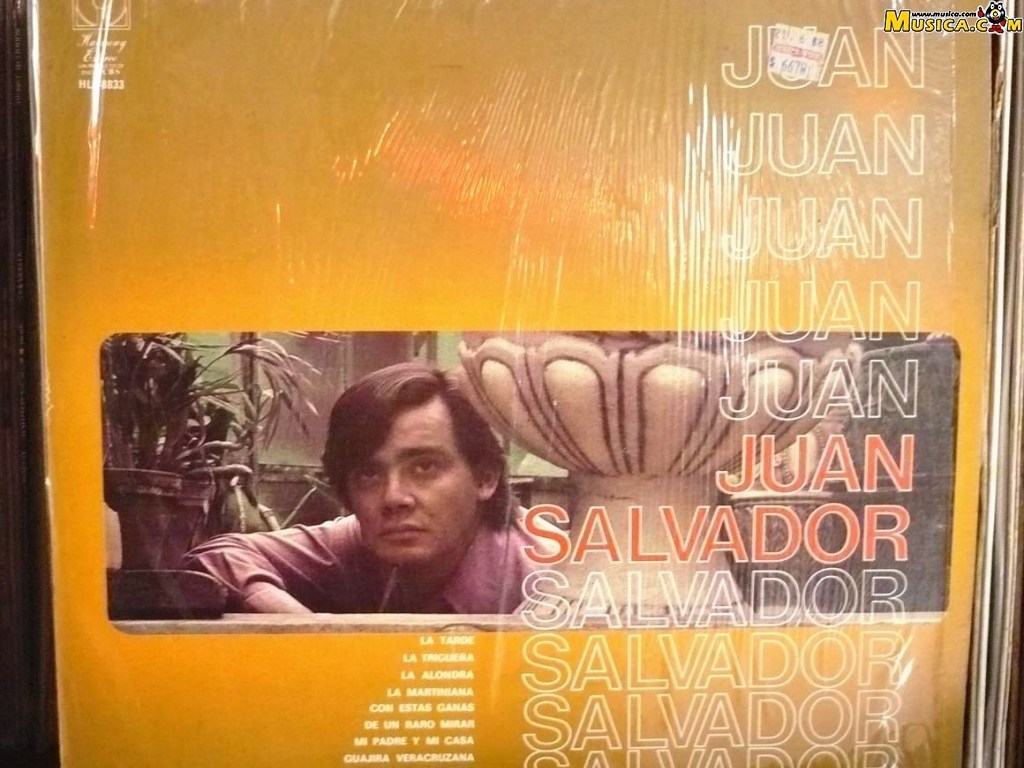 Fondo de pantalla de Juan Salvador