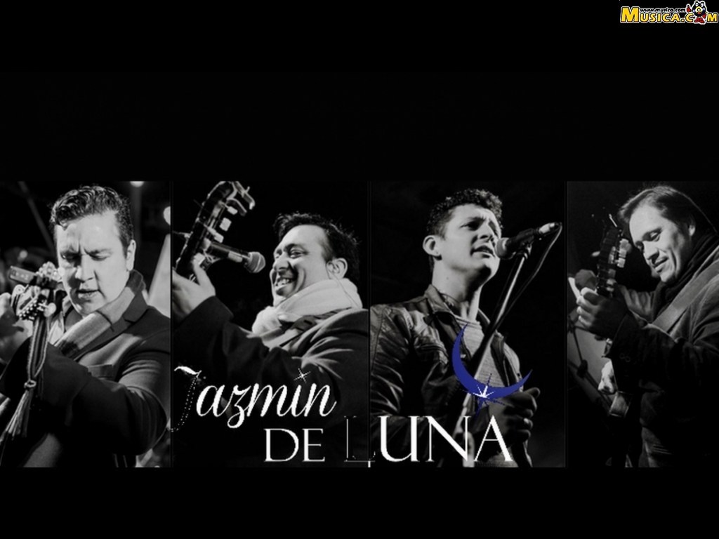 Fondo de pantalla de Jazmin de Luna