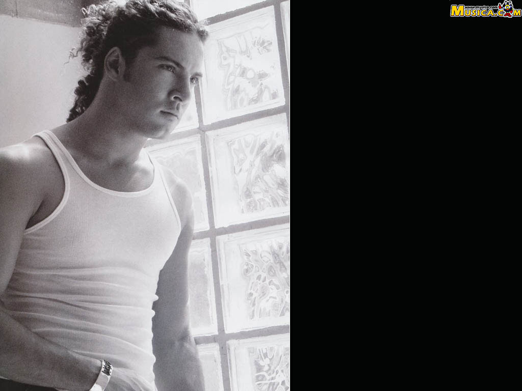 Fondo de pantalla de David Bisbal