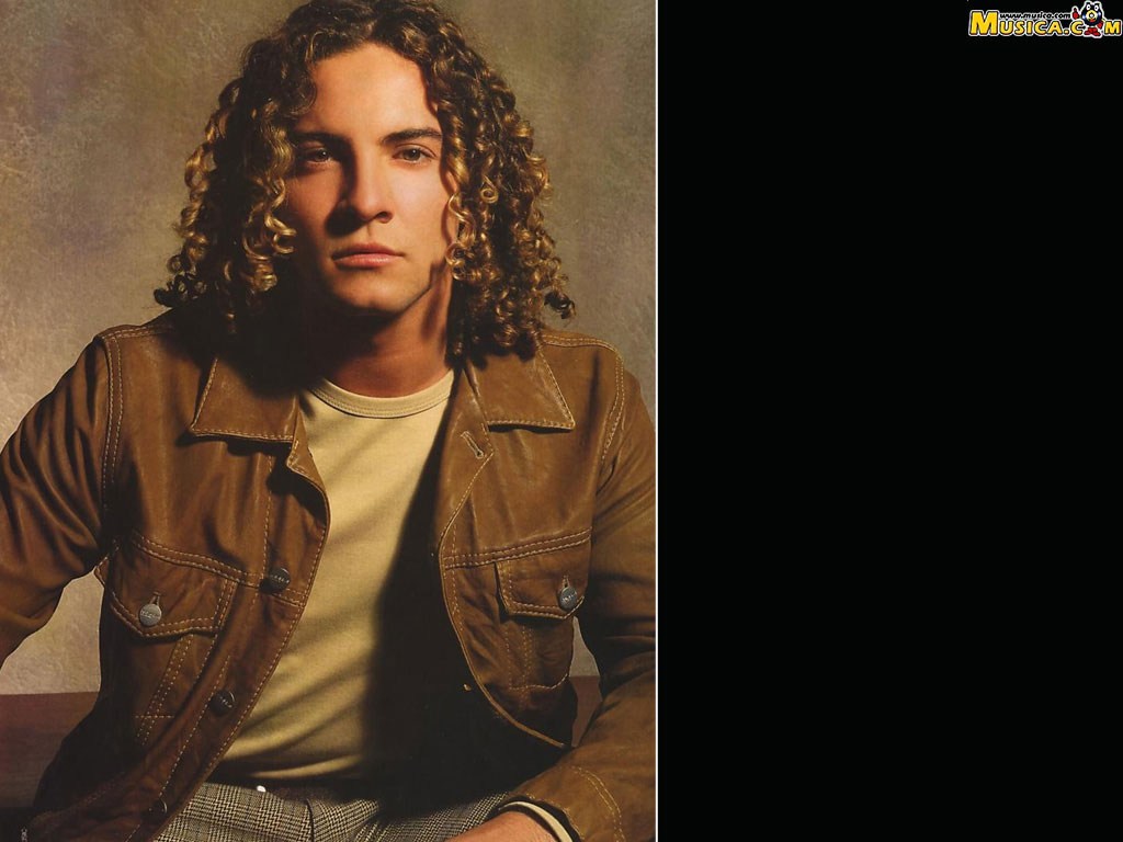 Fondo de pantalla de David Bisbal