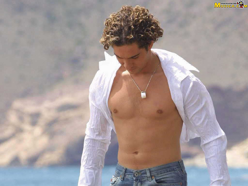 Fondo de pantalla de David Bisbal