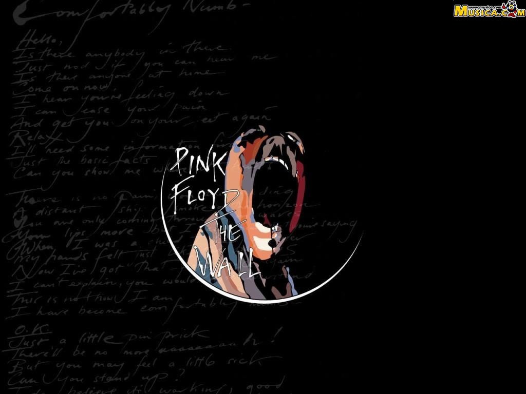 Fondo de pantalla de Pink Floyd