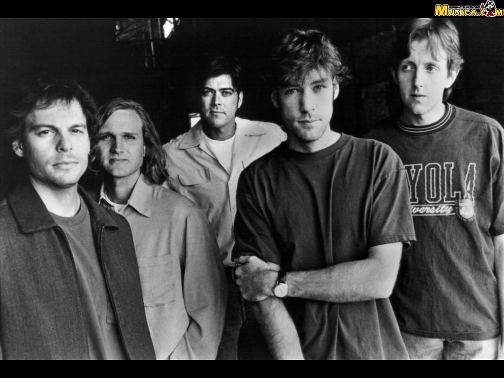 Fondo de pantalla de Gin Blossoms