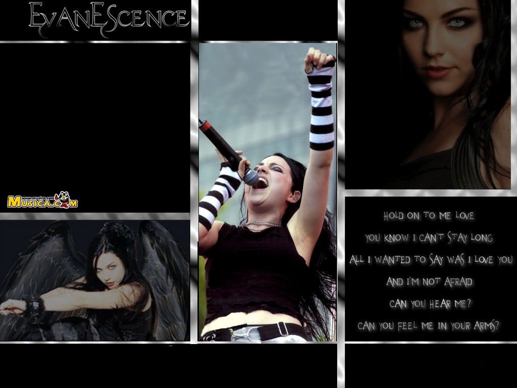 Fondo de pantalla de Evanescence