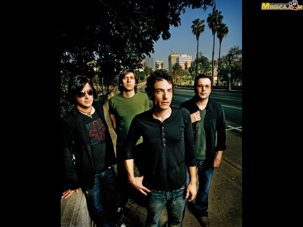 Fondo de pantalla de Wallflowers, the