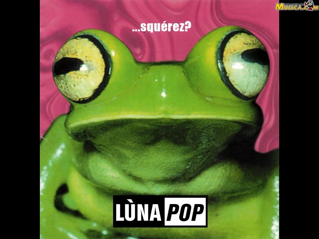 Fondo de pantalla de Luna Pop