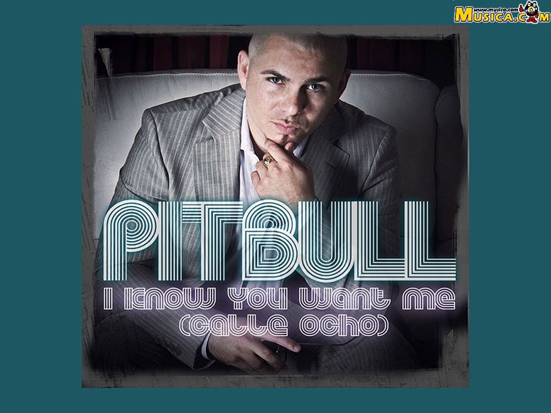 Fondo de pantalla de Pitbull