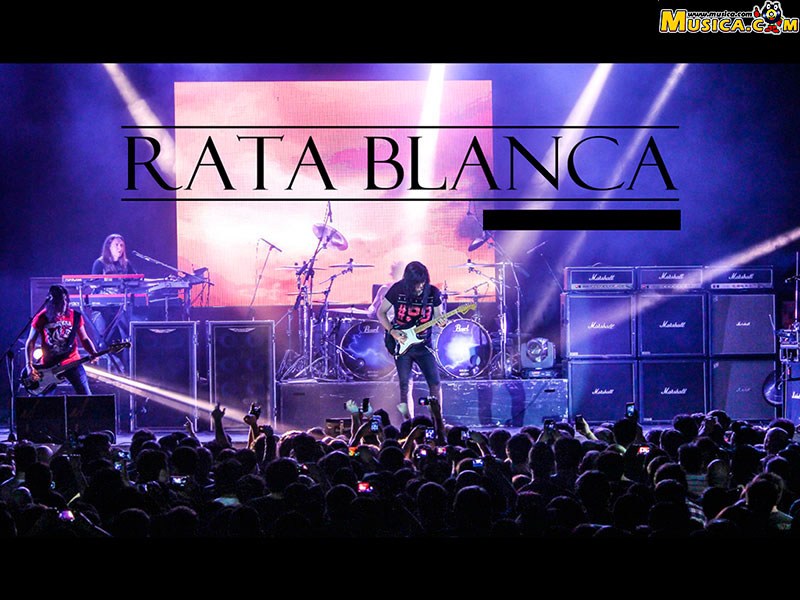 Fondo de pantalla de Rata Blanca