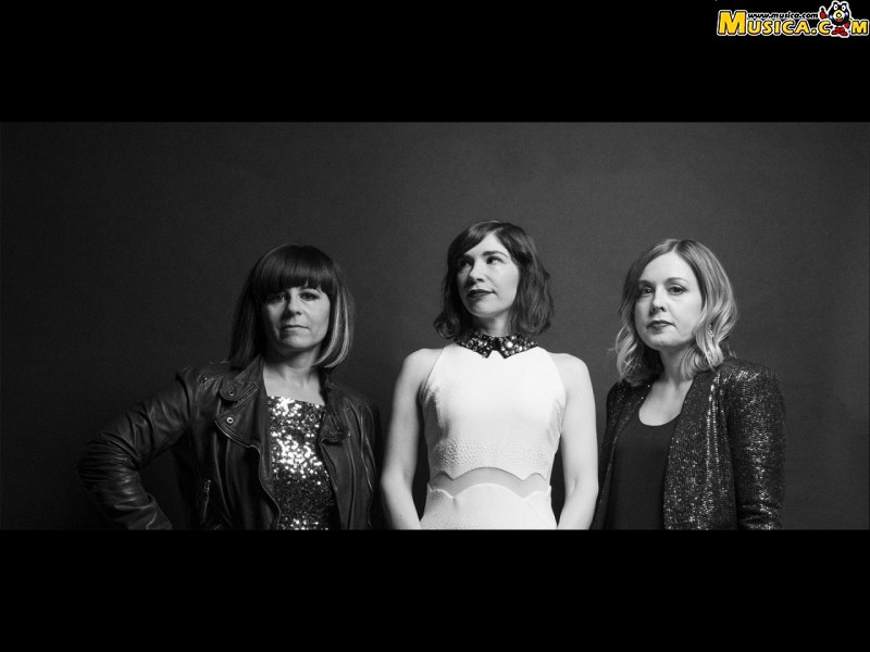 Fondo de pantalla de Sleater Kinney