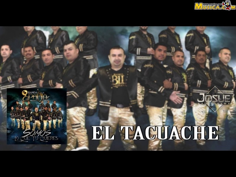 Fondo de pantalla de El Tacuache