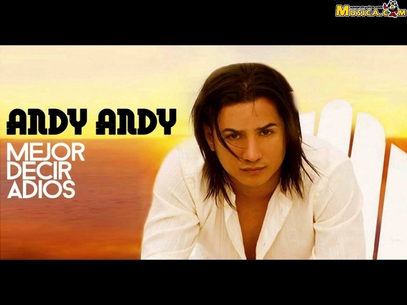 Fondo de pantalla de Andy Andy