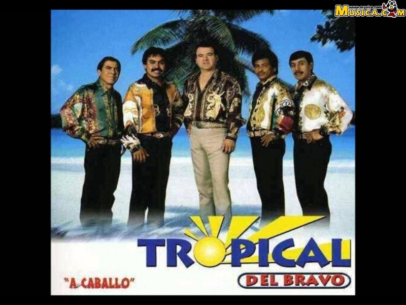 Fondo de pantalla de Tropical Del Bravo