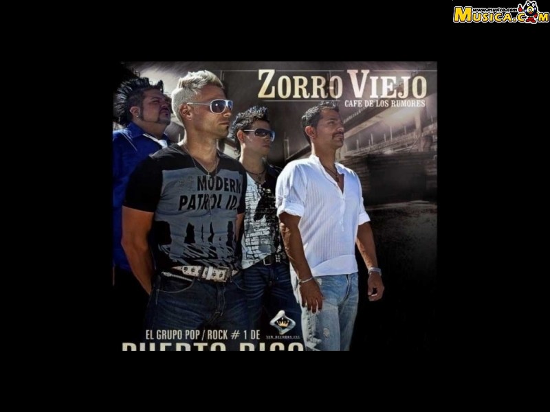 Fondo de pantalla de Zorro Viejo