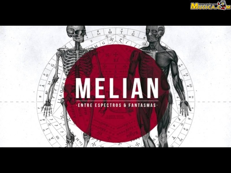 Fondo de pantalla de Melian