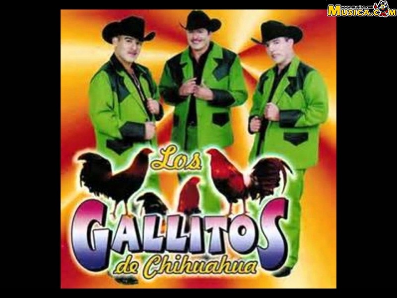 Fondo de pantalla de Los Gallitos De Chihuahua