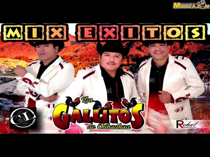 Fondo de pantalla de Los Gallitos De Chihuahua